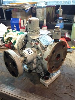 Service on a ITAYA gearbox