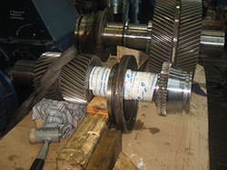 Service on a BHS gearbox