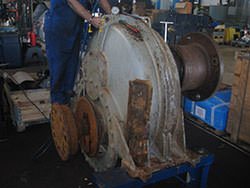 Service on a CONRAD STORK gearbox
