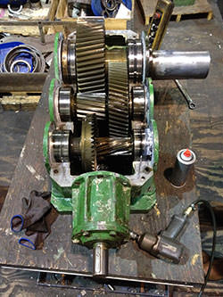 Service on a RENOLD gearbox