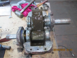 Repair gearbox of brand W.G.W. SN-1/So