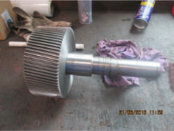 gearbox wgw