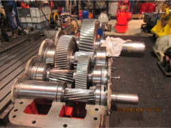 Repair gearbox of brand W.G.W. NK SCN 355