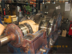 Repair gearbox of brand W.G.W. DKBH 1500/So