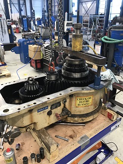Inspection and repair of FLENDER SDOS 280 gearbox