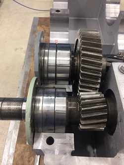 WGW 280-S-50 gearbox repair