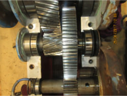 SCHAFER TN-77126 Gearbox Repair