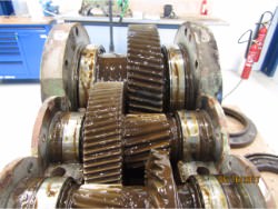 Inspection and repair of FLENDER Sonder 195 gearbox