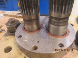 Inspection and repair on FLENDER 118-F-11000 gearbox