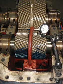 Inspection of a BHS gearbox