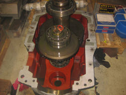 HANSEN QVRF2 CUN 11 2