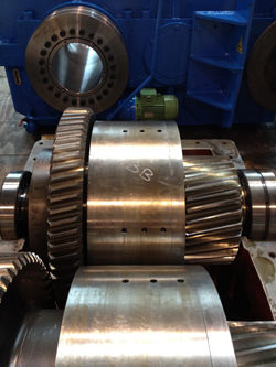 Kuypers repair