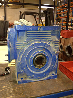 Service on a ROSSI gearbox