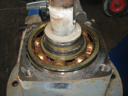 SEW reducer